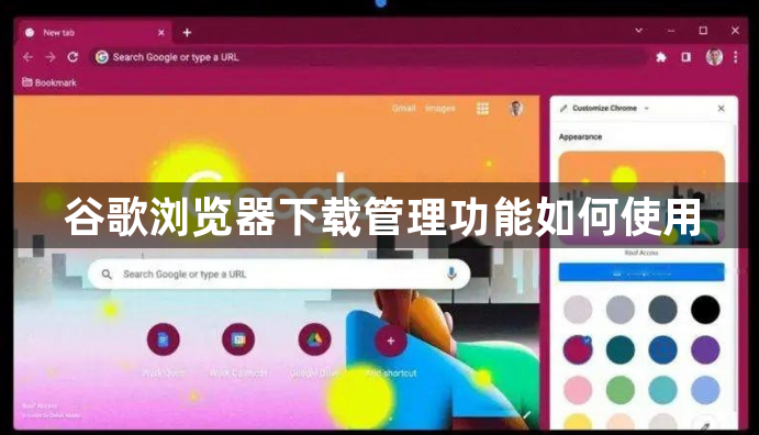 谷歌浏览器下载管理功能如何使用1