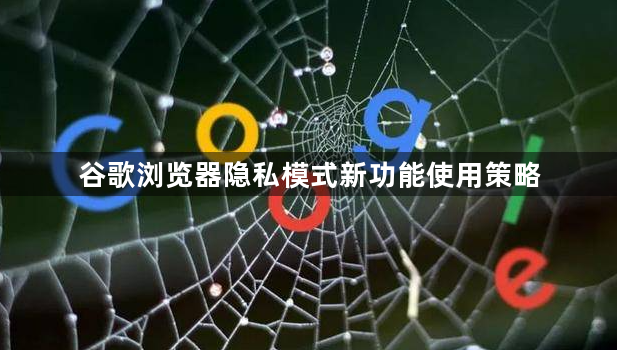 谷歌浏览器隐私模式新功能使用策略1