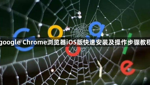 google Chrome浏览器iOS版快速安装及操作步骤教程1