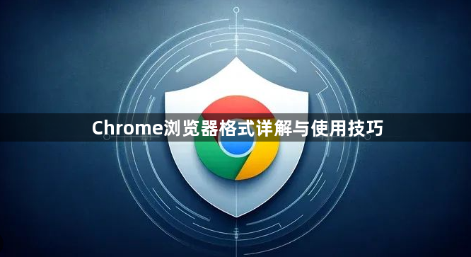 Chrome浏览器格式详解与使用技巧1
