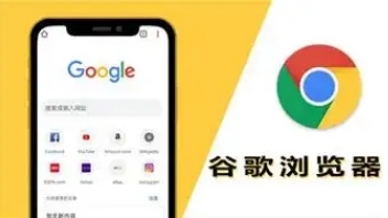 Chrome浏览器下载安装后如何自定义隐私策略