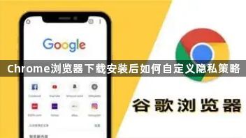 Chrome浏览器下载安装后如何自定义隐私策略1