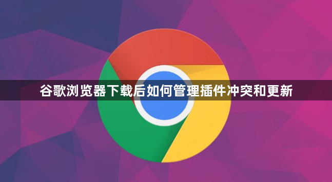 谷歌浏览器下载后如何管理插件冲突和更新1