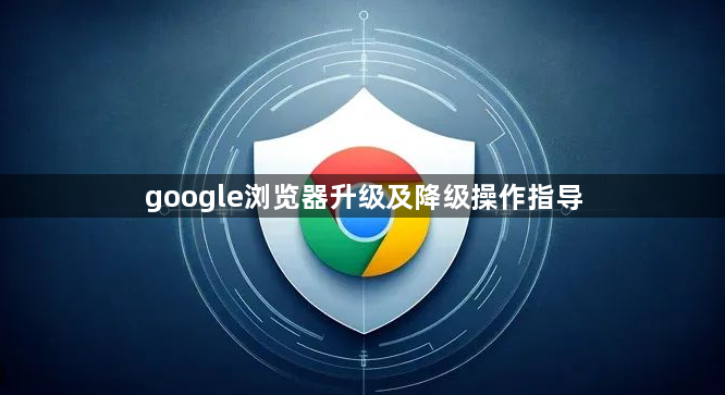 google浏览器升级及降级操作指导1