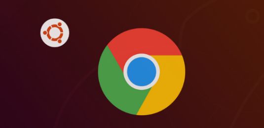 google浏览器稳定版下载安装操作教程解析