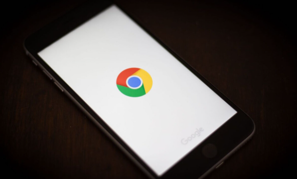 google浏览器便携版快速配置及使用教程