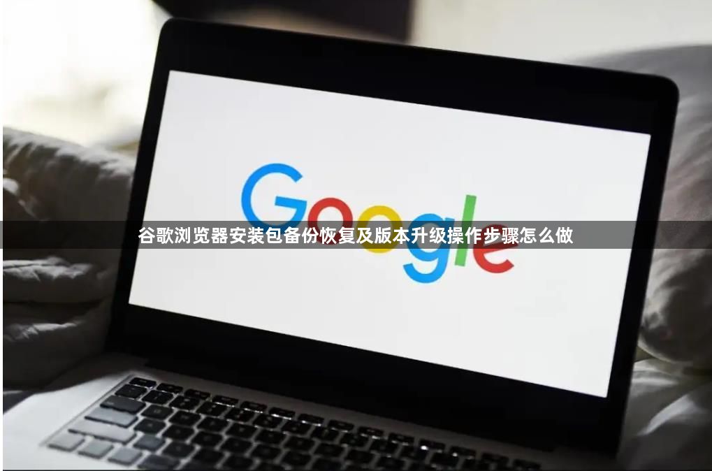 谷歌浏览器安装包备份恢复及版本升级操作步骤怎么做1