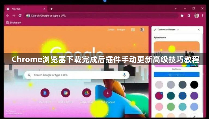 Chrome浏览器下载完成后插件手动更新高级技巧教程1