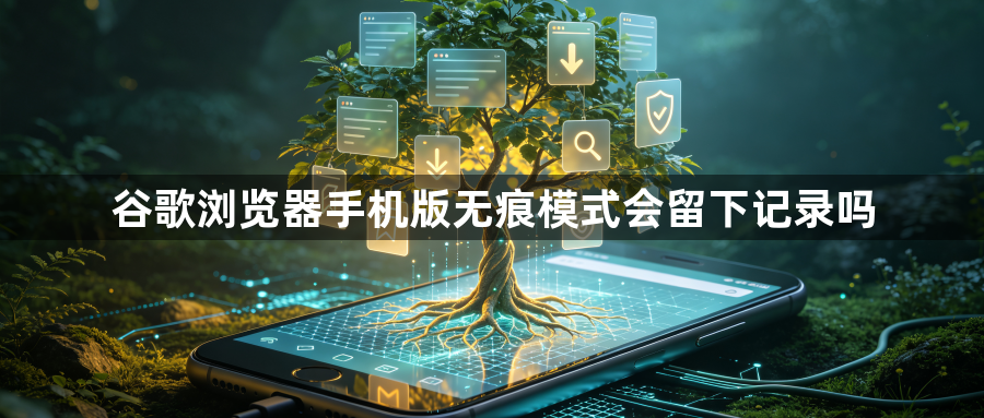 谷歌浏览器手机版无痕模式会留下记录吗1
